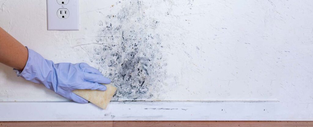 How to Remove Mold from Walls